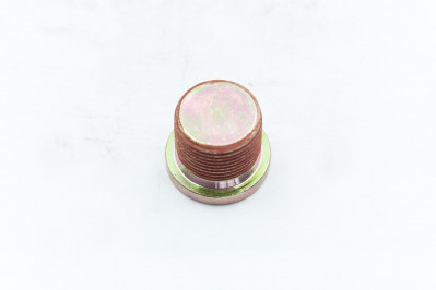 DZ9112346116 Пробка бортового редуктора M22*1,5