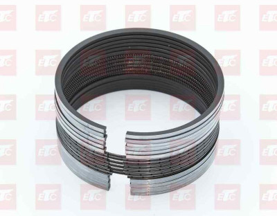 202V02503-6005 Набор поршневых колец к-кт на ДВС