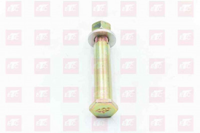 178000680029 Болт заднего стабилизатора