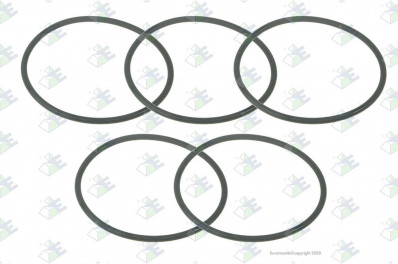 ER 95531931 Кольцо уплотнительное 67*3