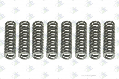 ER 74530218 Нажимная пружина