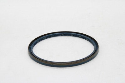 0159975747 Сальник ступицы 160*180*10