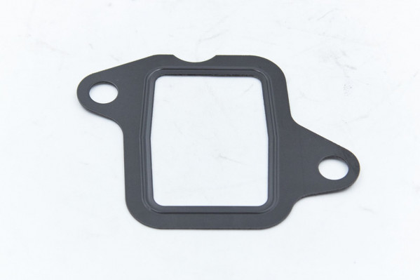 612600116551 Прокладка впускного коллектора WP12.430 / WP12.375 — 1