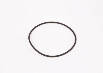 2410210014 Уплотнительное кольцо 100*3