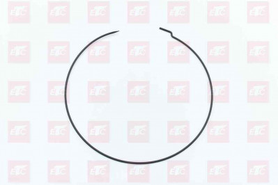 710W90810-0074 Стопорное кольцо бортового редуктора