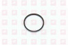WG4095415011 Одностороннее уплотнительное кольцо, миниатюра — 1