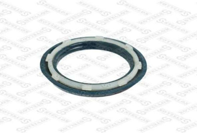 8101021SX Cальник шкворня