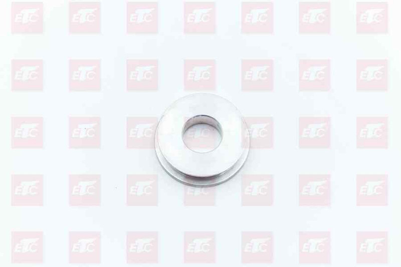 L913212400 Поршень цилиндра ПМ РКП — 2