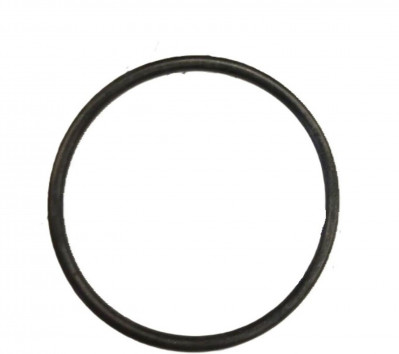 612433 Уплотнительное кольцо D50