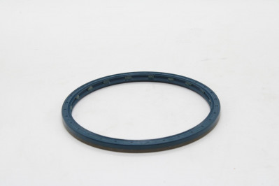 0159975747 Сальник ступицы 160*180*10