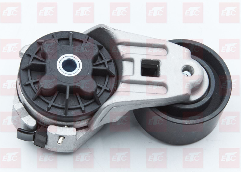 612600061256 Ролик натяжной WP10/340 — 1