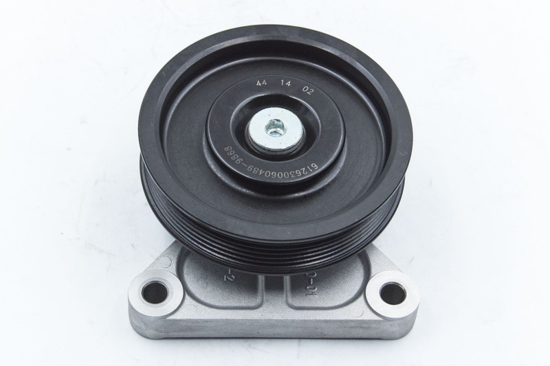 612630060489 Ролик обводной WP12.430 / WP12.375 — 2