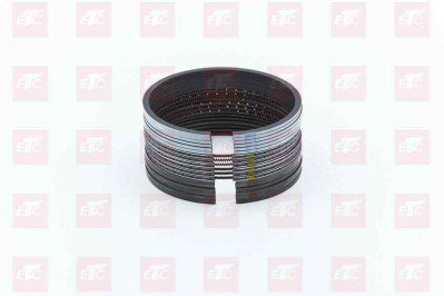 092V02503-6002 Набор поршневых колец к-кт на ДВС MC 11