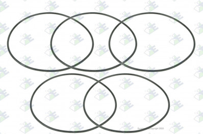 ER 30170311 Кольцо 132*3