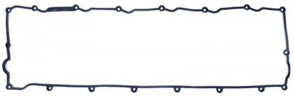 141522 Прокладка клапанной крышки D2066 — 1