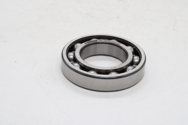 198170043K Подшипник 60*110*22мм — 1