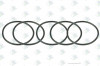 ER 60531399 Кольцо 55,6*3 — 1