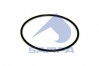 SA 115520 Кольцо уплотнительное, миниатюра — 1