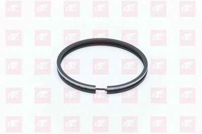 202V02503-6005/1 Набор поршневых колец к-кт на поршень