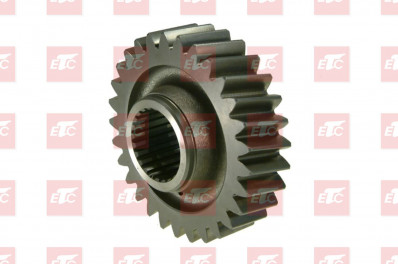 ER 74170884 Шестерня дифферинциала Z=29