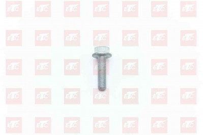 MQ6-03216-8306 Шестигранный фланцевой болт