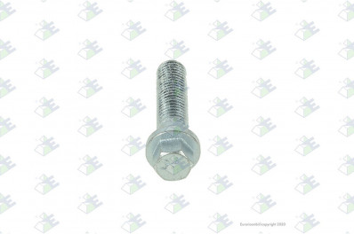 ER 74170659 Болт M12*1,75*50