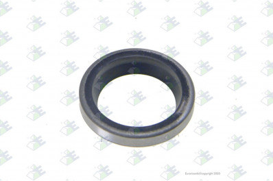 ER 74530685 Кольцо 25*35*5/8 MM SCA 244448