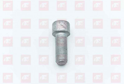 MQ6-02099-0204 Болт с внутренним шестигранником M12*1,5*30-8.8