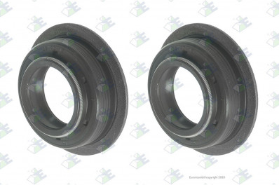 ER 95532553 Манжета WTB 25*40*15 делителя