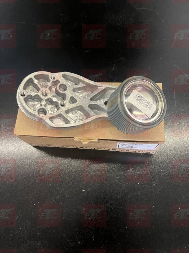 VO 22696301 Натяжитель ремня вентилятора в сборе — 1