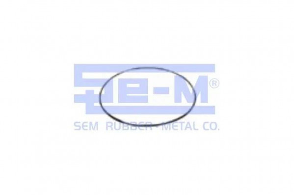 SEM 7319 Кольцо уплотнительное бортового редуктора MAN/MB 255*5 — 1
