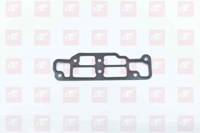 201V06904-0042 Уплотнительная прокладка корпуса термостата