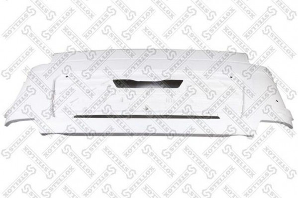 8721619SX Капот MAN TGS — 1