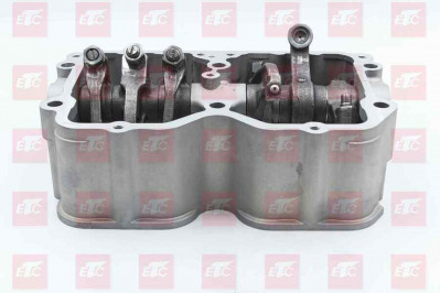 3418522 Корпус в сборе с коромыслами