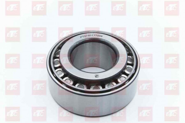 PT750117009 Подшипник 49,2*103,1*43,6 — 1