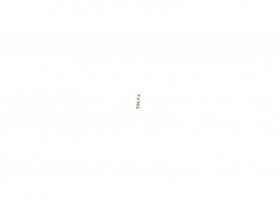 F00ZC99725 Шайба регулировочная 1,03 мм