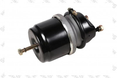 8500595SX Энергоаккумулятор задний