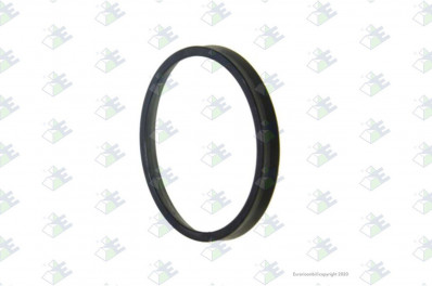 ER 74170073 Пыльник фланца