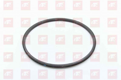 WG7121345015 Кольцо ступицы задней