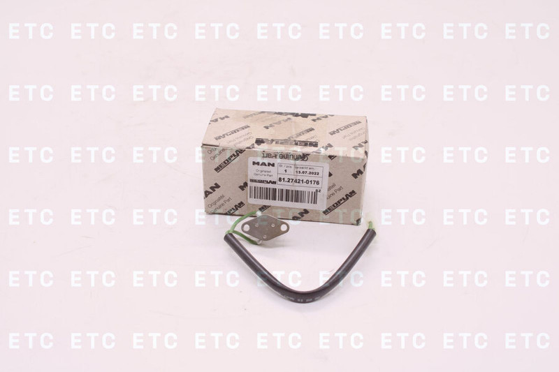 81274210176 Датчик перегрева для отопителя D3LC — 1