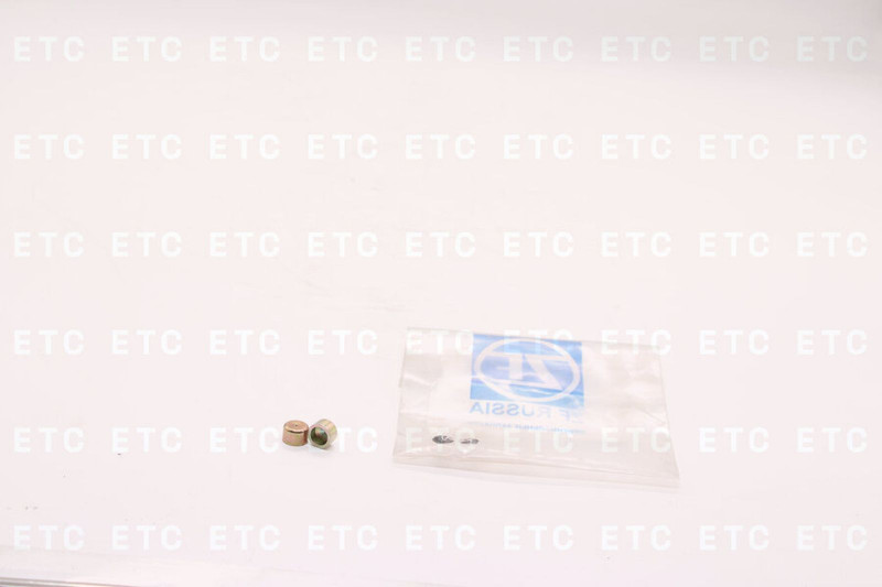 ZF 5840333132 Заглушка — 2