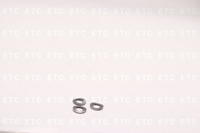 DT 235079 Шайба