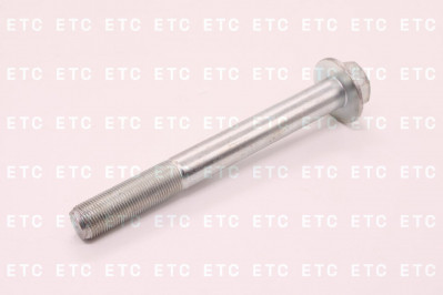 YC020C401385 Болт М20*1,5*180