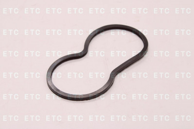 DT 124114 Прокладка термостата