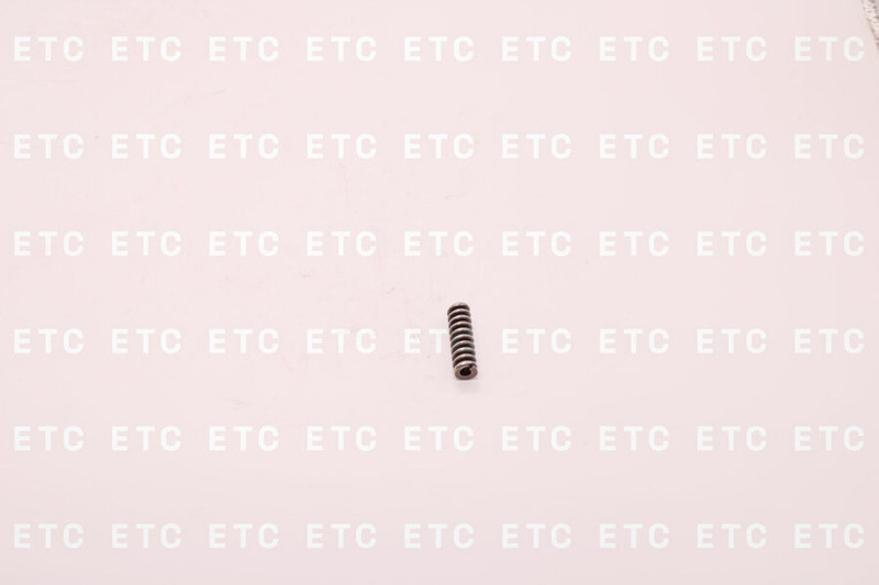 2434614055 Пружина форсунки — 1