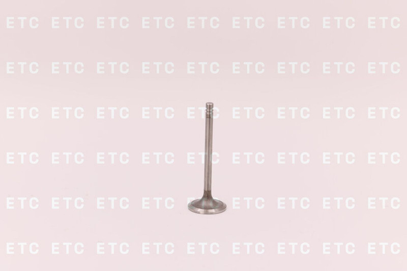 6N9916 Клапан выпускной — 1