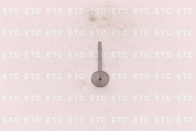 3940735 Клапан впускной 4/6ISBe, ISF3.8