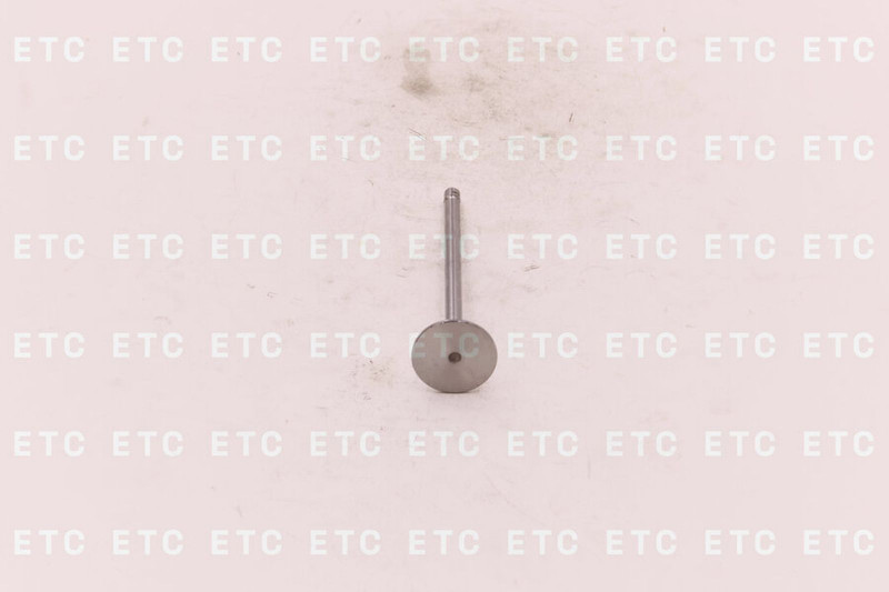 3940735 Клапан впускной 4/6ISBe, ISF3.8 — 2