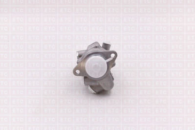 PTZYB-0018R/719-1 Насос сдвоенный ГУР правый ход