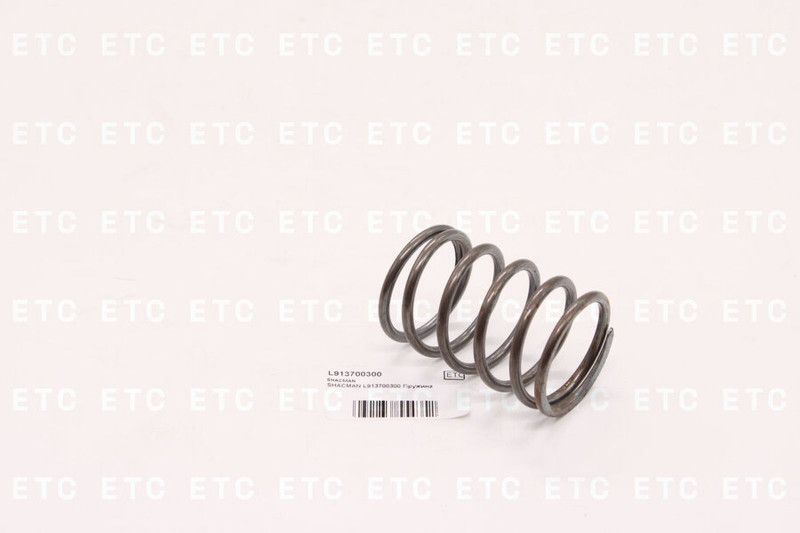 L913700300 Пружина — 1